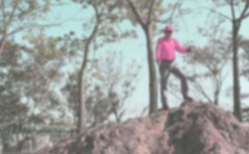 登山比赛策划书