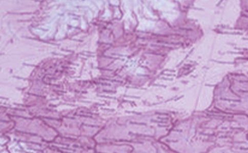 ������ȤС���ܽ�