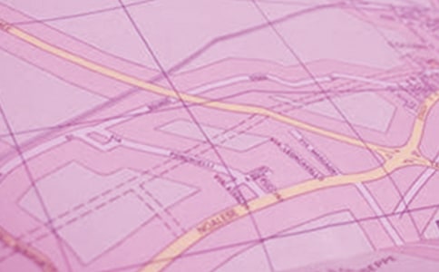 ���꼶������ѧ�����ܽ���ʮƪ