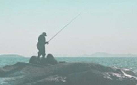 暑假钓鱼作文300字六篇