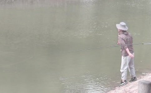 ����ѡ��Сè��������300�ֻ��5ƪ