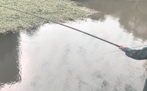 �й����꼶��������300�ֻ��ʮƪ