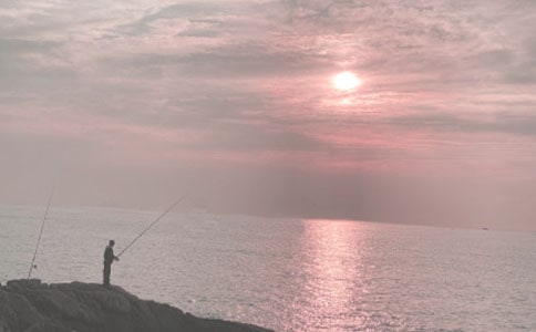 ��ѡСè��������300�ּ���9ƪ