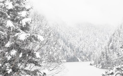 ����������������