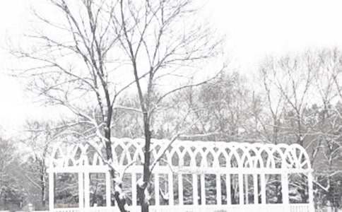 ������Ⱦ��Ԥ�����ĵ���᷶��