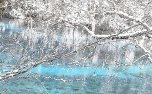 ����ȡů��Ӧ��Ԥ��[ʵ��]