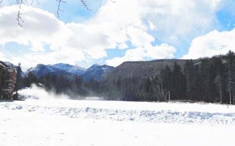 �����Ͷ���ȫ��Ӧ��Ԥ������