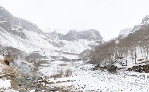 ��������Ӧ��Ԥ��3ƪ[����]