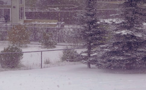 ��������ů������