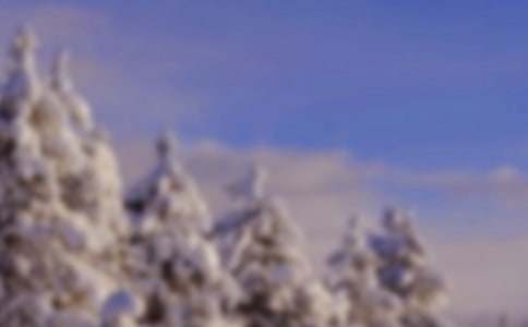 �������������600��10ƪ