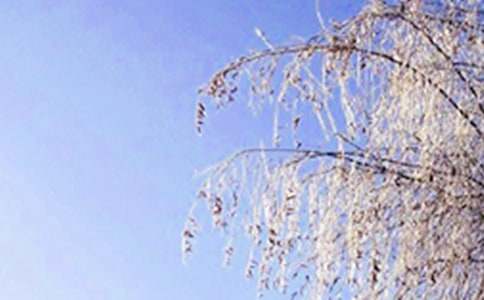 ���ϵĶ�������15ƪ