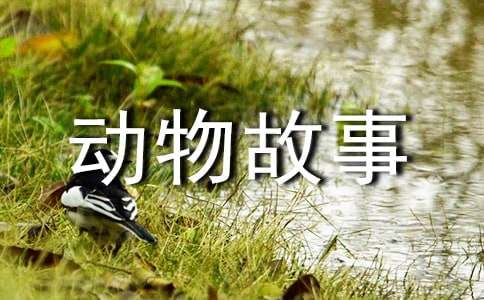 �ҺͶ��������������600�֣���ѡ51ƪ��