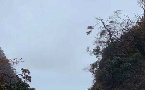 峨眉山介绍导游词(通用11篇)