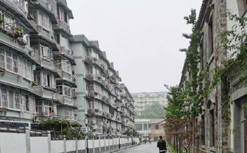 �ֵܷ�������Э����