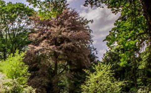 �����羰��������ƪ