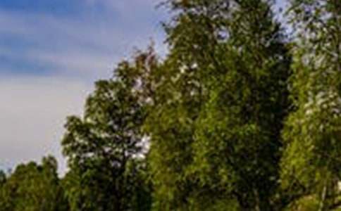 д�羰����������