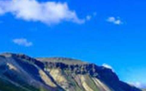 ��д�羰����������