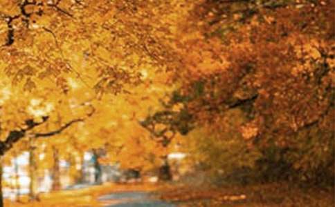 �����羰������