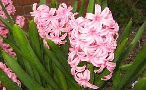 ���ݷ����ӿ��ŵľ���