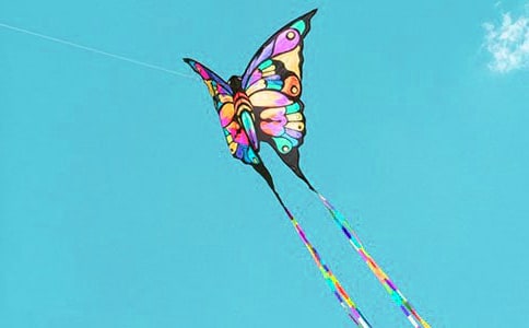 ���ݸ�������(7ƪ)