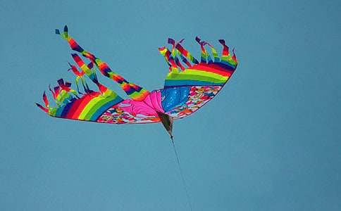 放风筝活动总结