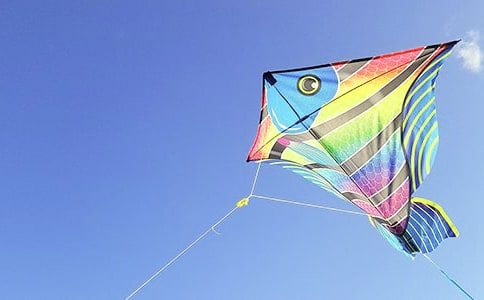 ��Ȥ�ķ��ݵ�����600��