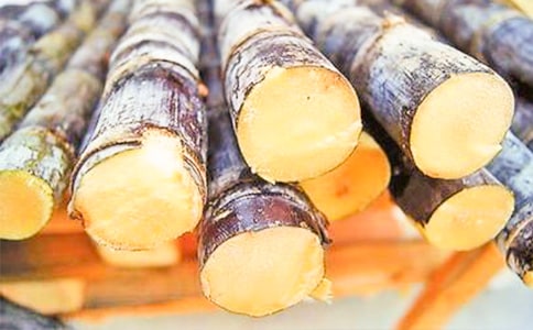 关于甘蔗的作文