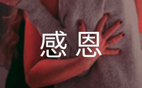 ����ѡ���ж���ĸ������300��4ƪ