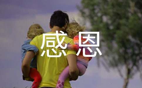 �ж���������