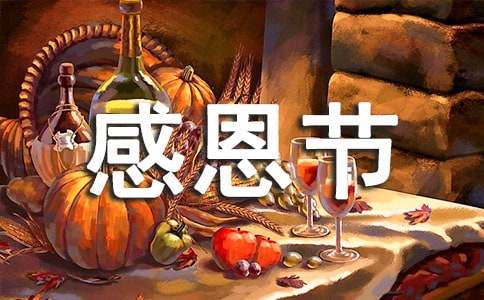 (精品)感恩节促销活动方案2篇