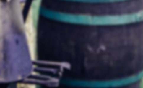 ������־�ۺ�У�ͨ��24ƪ��