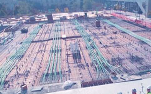 ����ʵϰ���˹����ܽ�(15ƪ)