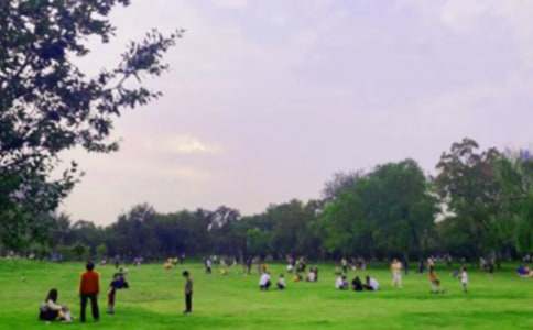 ����Ʒ����԰������������ƪ