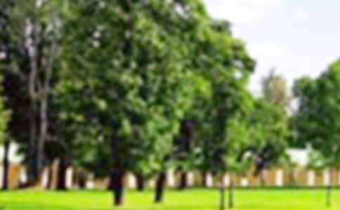 ������ٹ�԰���ĺϼ�9ƪ