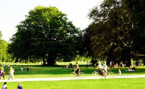 美丽的公园作文600字大全(6篇)