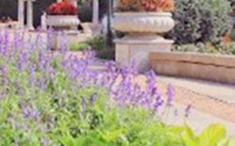 ������Ϫ��԰���δ�