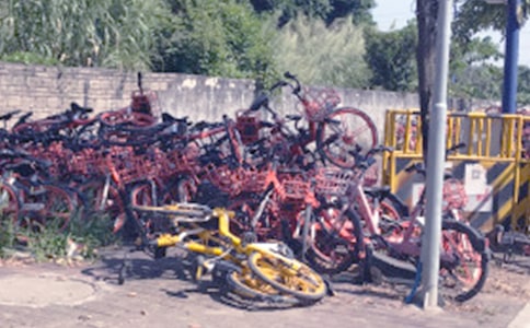 �ҷŹ�������������15ƪ