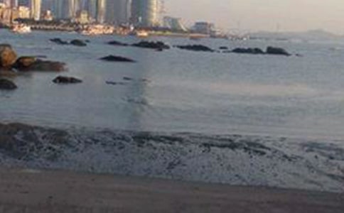 �������Ź����쵼�δ�