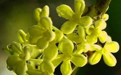 �����Ĺ������ģ�ͨ��30ƪ��