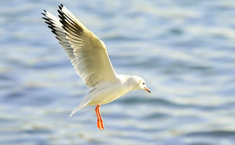 ������ŸΨ������