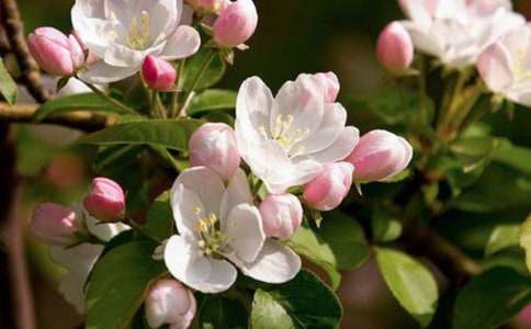 �����ġ�������������ɫ���Ķ���������