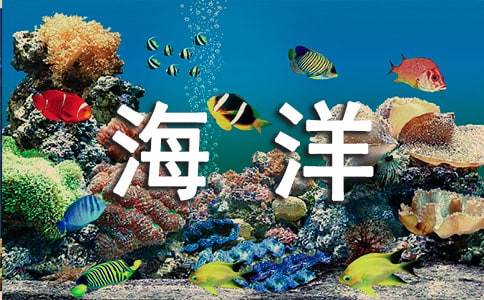 海洋环保宣传标语