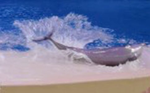 ���Ƽ�����ɫ�ĺ��ൺ�����