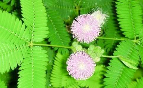 ��Ȥ�ĺ��߲�����15ƪ