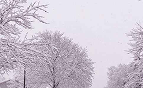 最新寒潮应急预案