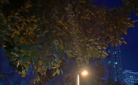 黑夜孤独伤感的句子