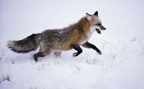 ���˲���ĺ���ְ֡�����л��ܣ�12ƪ��