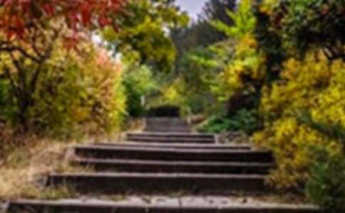 ��ҵ��԰���������ι����ܽ�