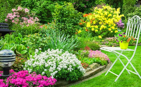 [��Ʒ]���˵Ļ�԰�����15ƪ