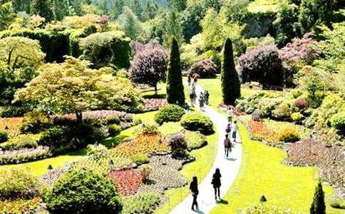 ������԰����600����ƪ